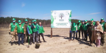 З ініціативи Президента на Рівненщині висадили понад 2 мільйонів дерев